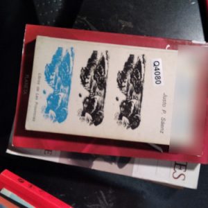 Pampas, Montes, Cuchillas Y Esteros Justo P. Sáenz