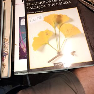 Banana Yoshimoto  Recuerdos De Un Callejón Sin Salida