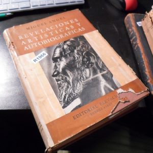 Miguel Angel Revelaciones Artisticas Y Autobiograficas R1966