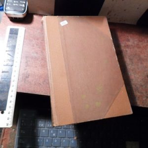 Los Romanov- William Gerhardi (r1420